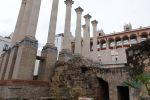 PICTURES/Cordoba - Roman Temple & Caliphal  Baths/t_DSC00734.JPG